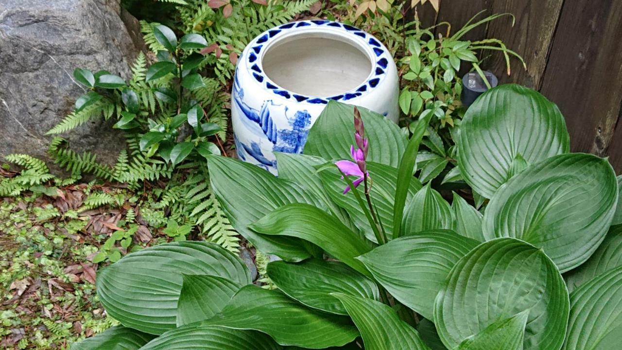 Guesthouse Tenkai 京都 外观 照片
